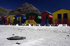 muizenberg IMG_1121.JPG